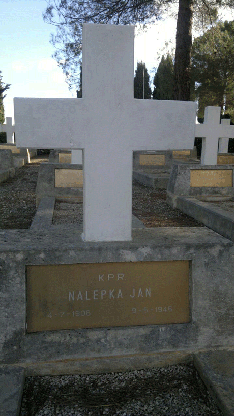 IMG 20150211 WA0012small